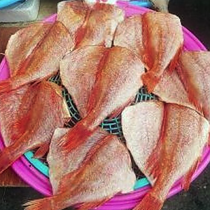 열기(빨간고기)